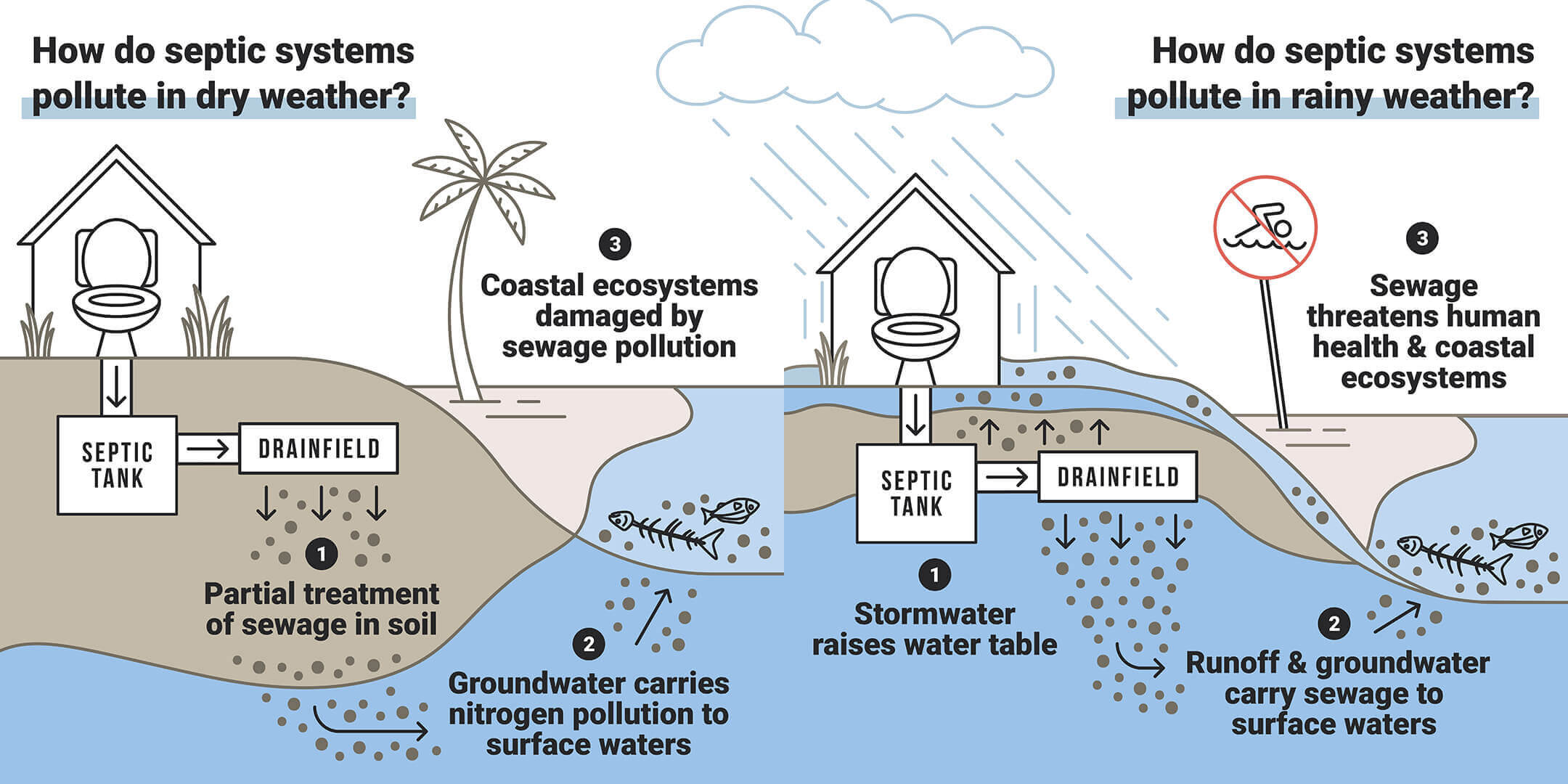 Harmful Effects Of Wastewater